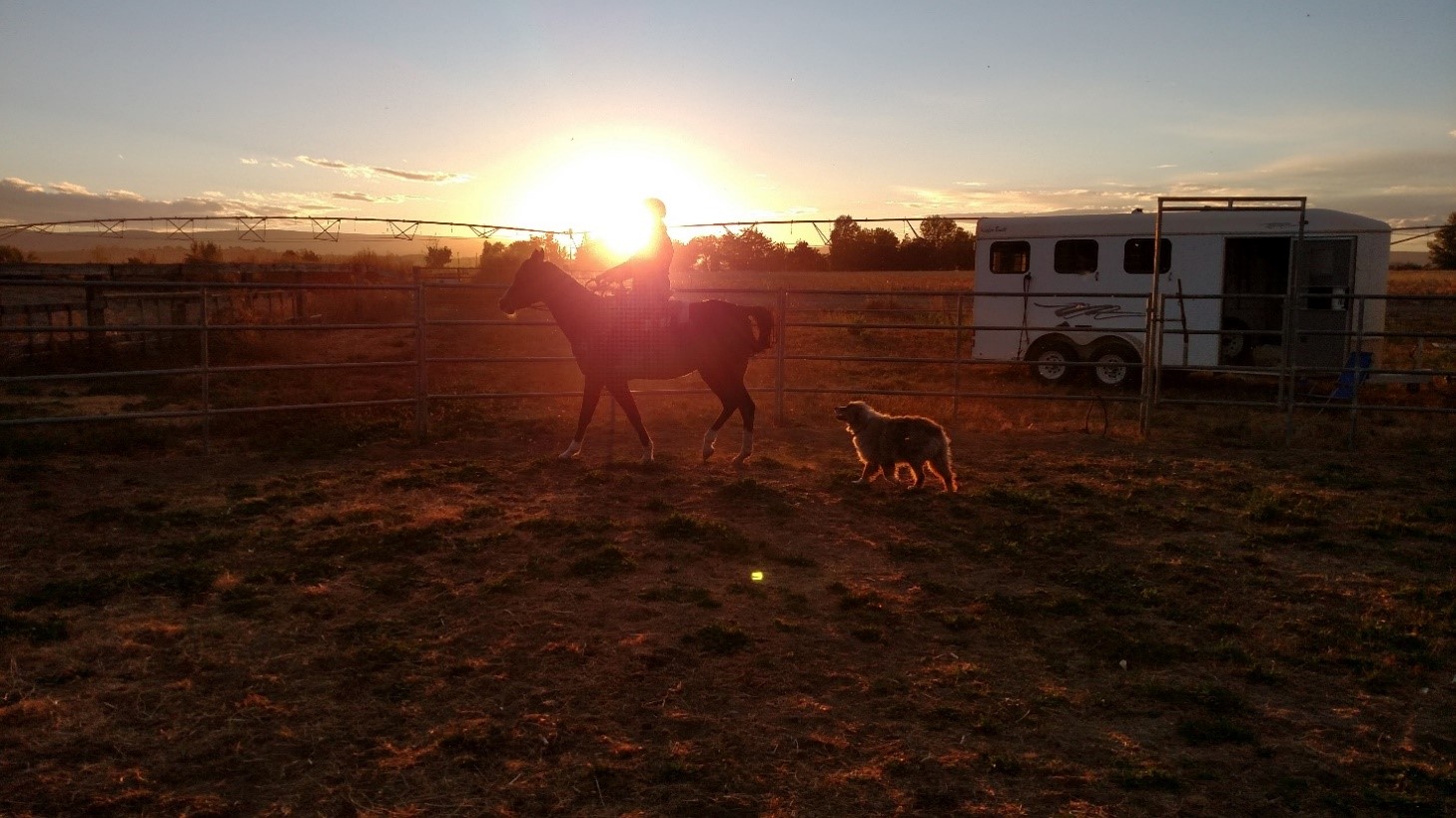 Hot Horse Draft for&nbsp;Equus