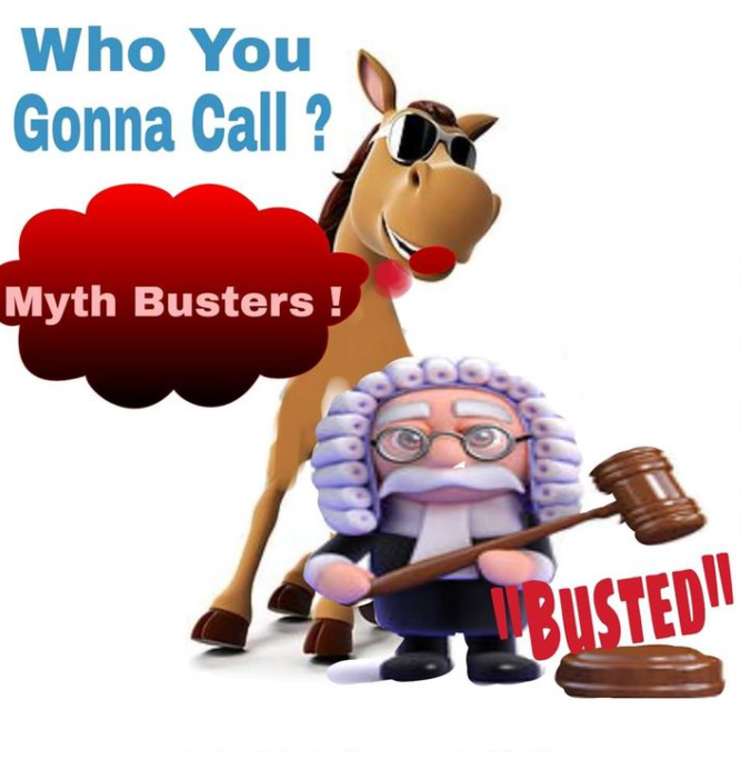 Colic Treatments: Myth Or&nbsp;Fact?