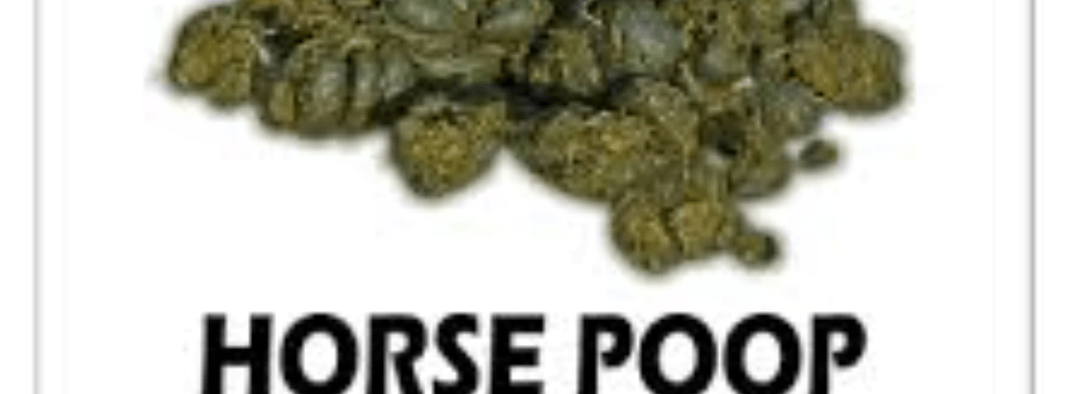 Horse Poop: What You Need to&nbsp;Know