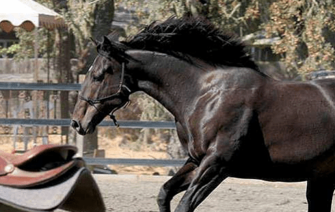 UC DAVIS CEH Refeeding&nbsp;2012