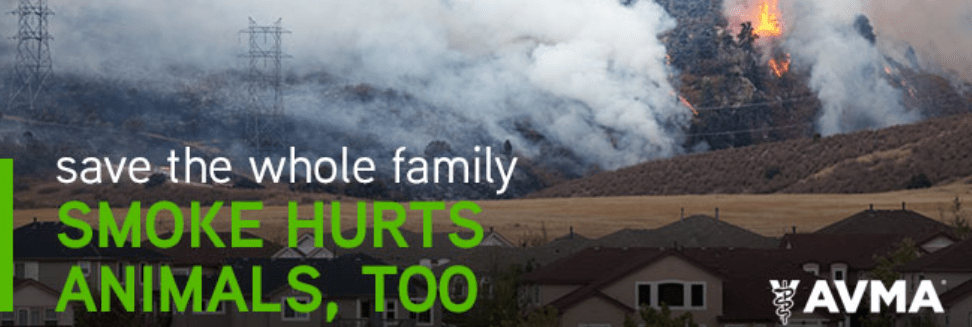 Wildfire Smoke: Protecting Livestock and&nbsp;Pets