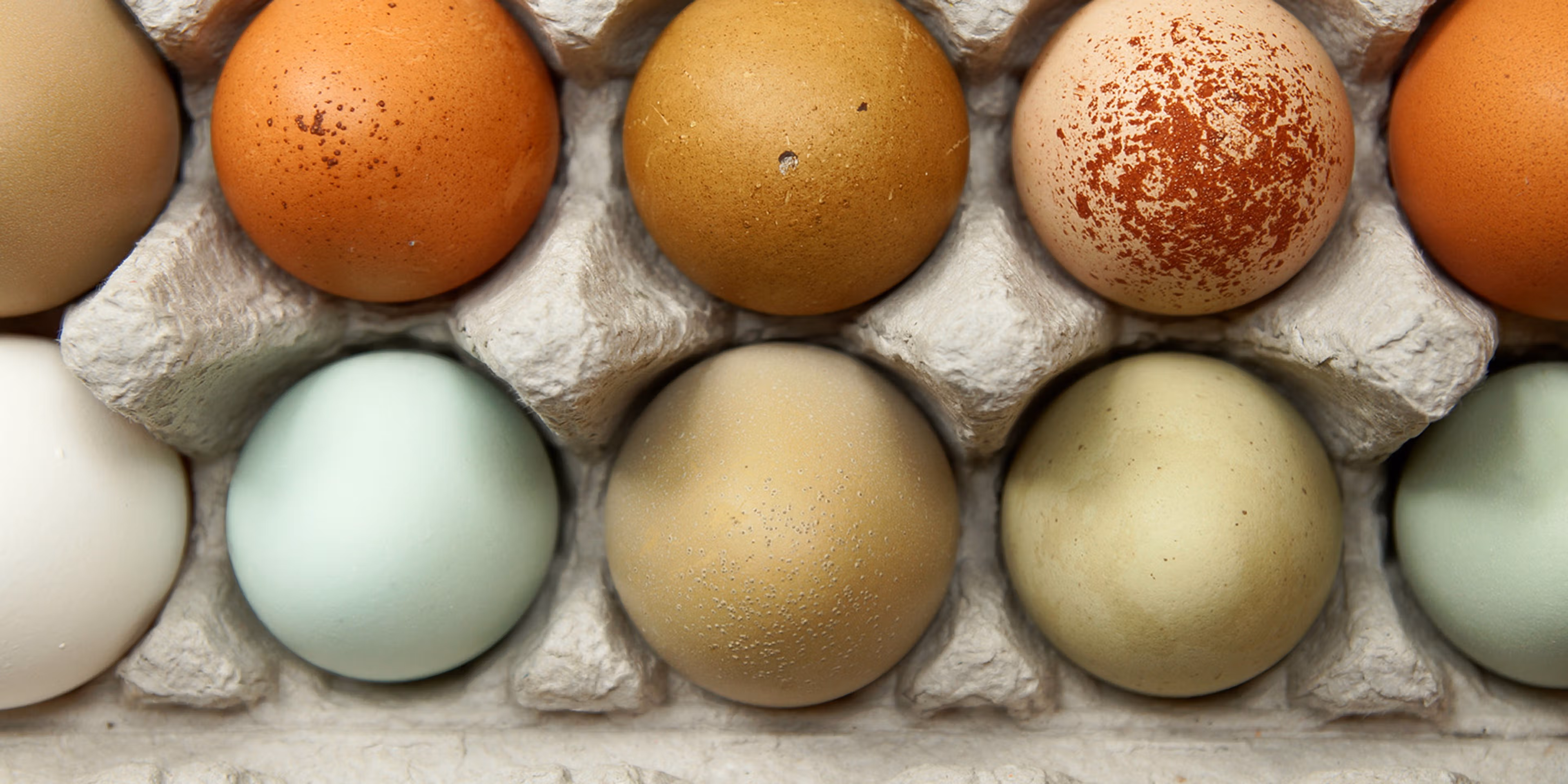 Chicken Eggs: What to know