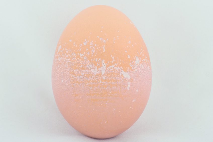 Why is this abnormal egg on the house floor? - Poultry World