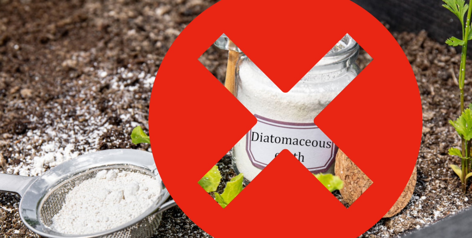 Diatomaceous Earth (DE): What To&nbsp;Know