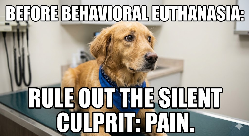 Before Behavioral Euthanasia: Rule Out the Silent&nbsp;Culprit